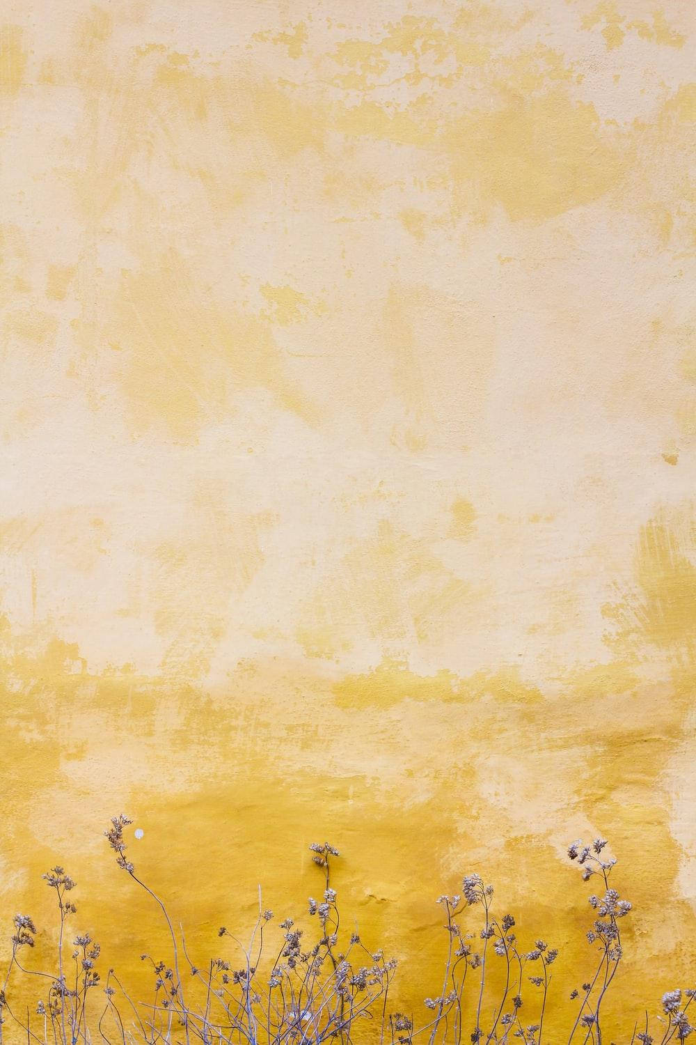 Top Yellow Vintage Aesthetic Wallpaper Full HD 4k To Use