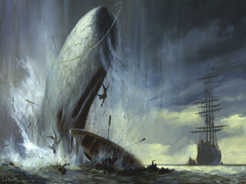 Moby Dick HD Wallpaper Background