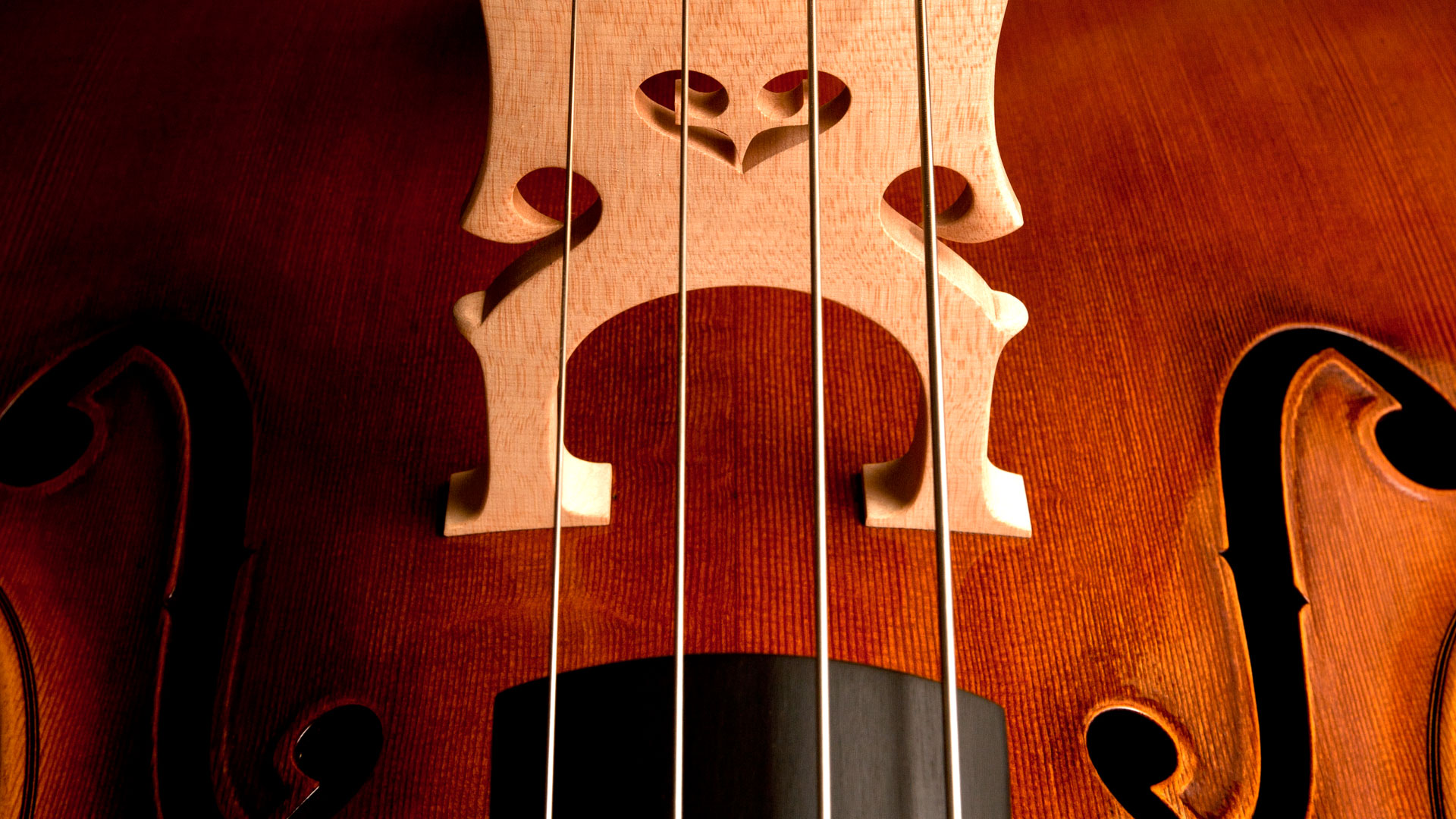 Optima Strings Double Bass Protos For