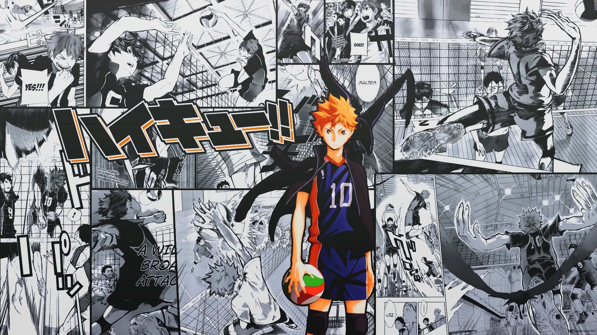 B S U T P V I H N Hinata Shoyo Wallpaper Tuy Nh