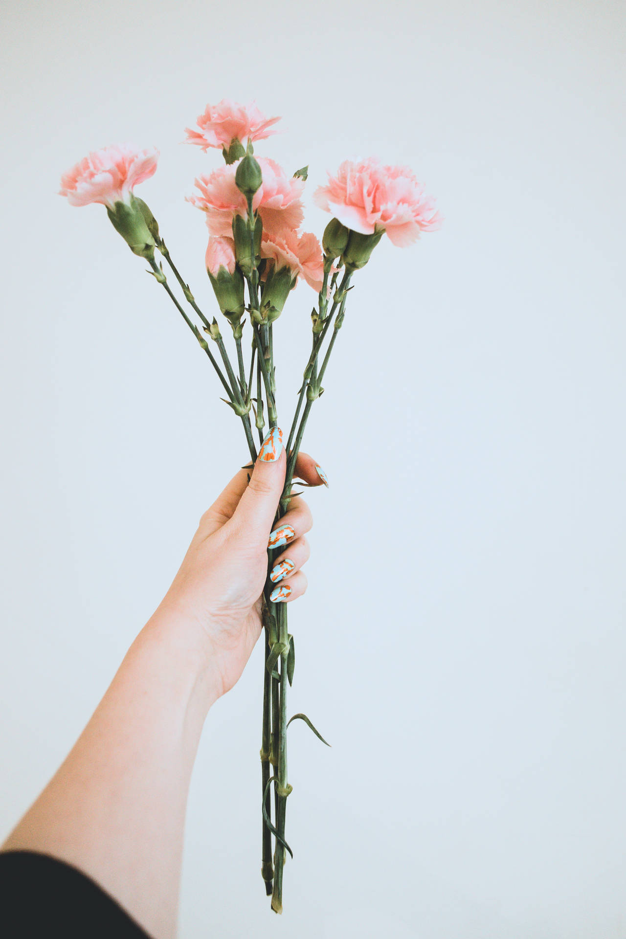 Top Pink Flowers Aesthetic Wallpaper Full HD 4k To Use
