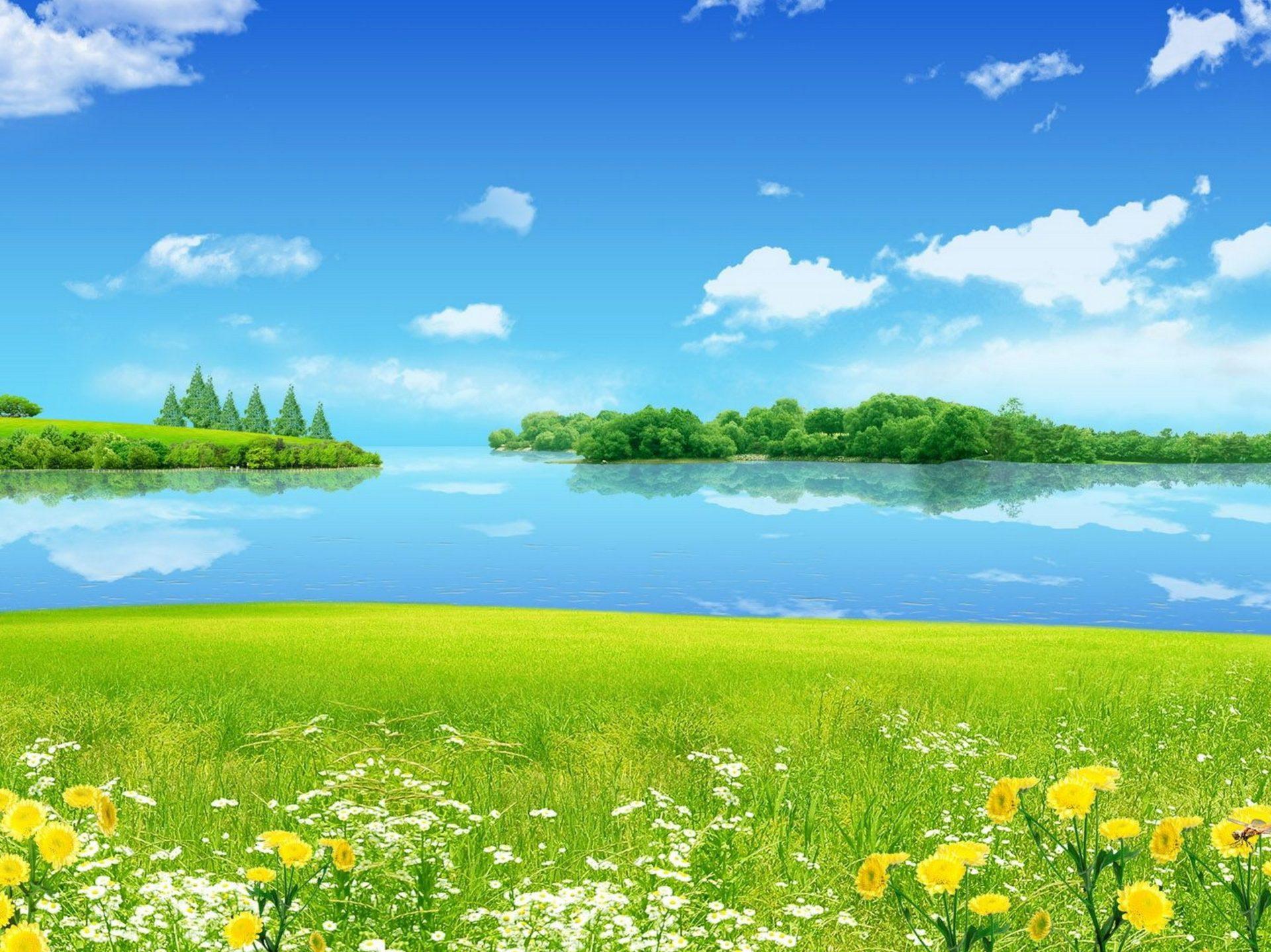 Summer Landscape Meadow With Green Grass Wild Flowers Blue Sky