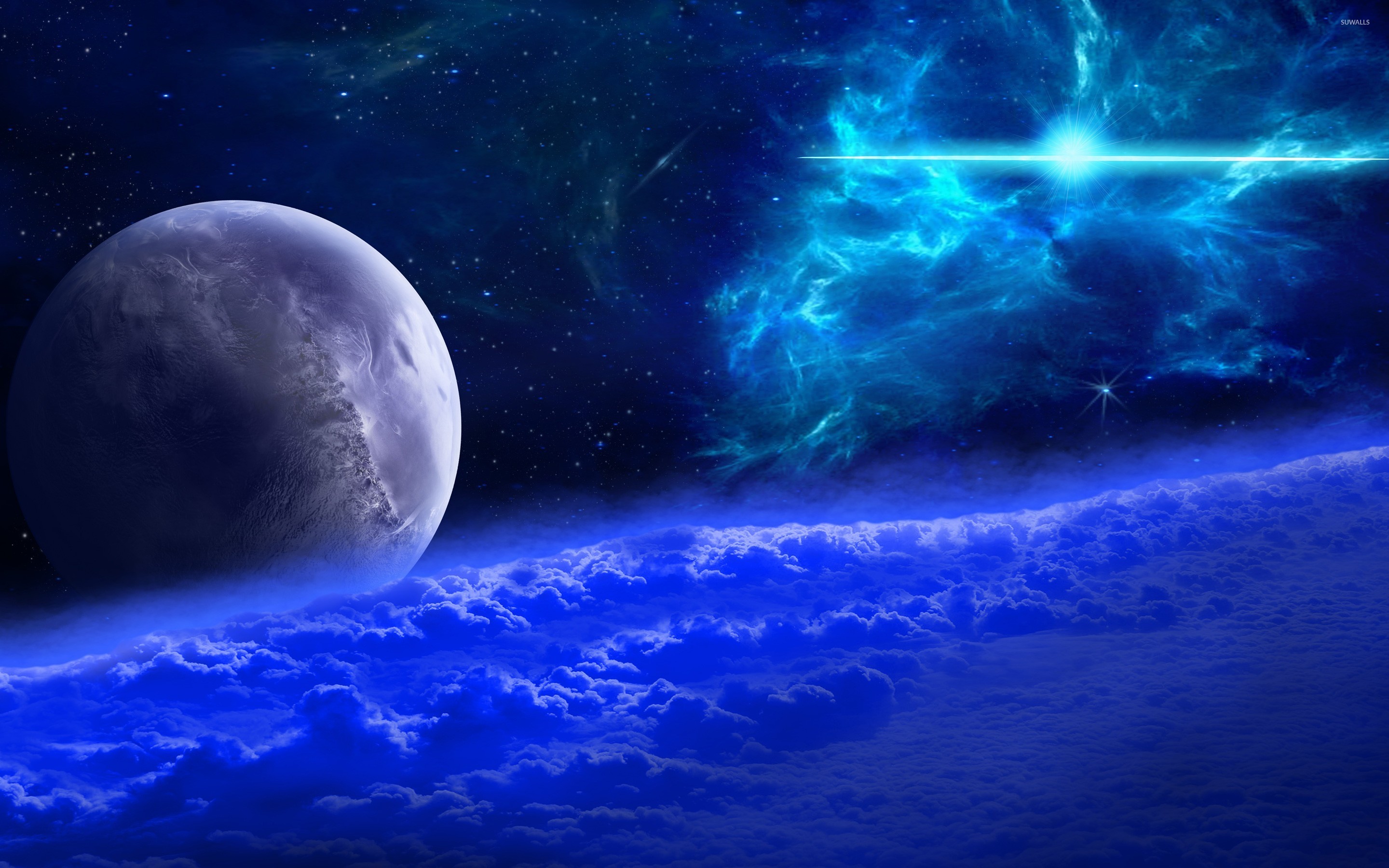 Blue Cosmos Wallpaper