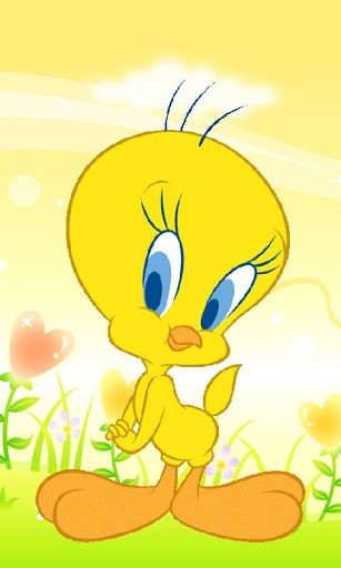 Related Pictures Tweety Bird HD Wallpaper Car