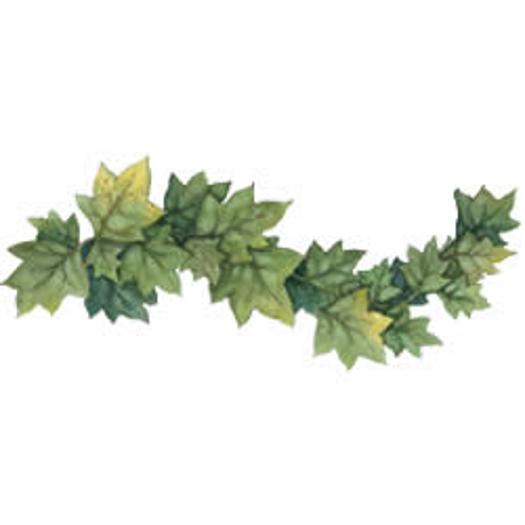 Ivy Leaves Wallies Border Cutouts Wallpaper Inc