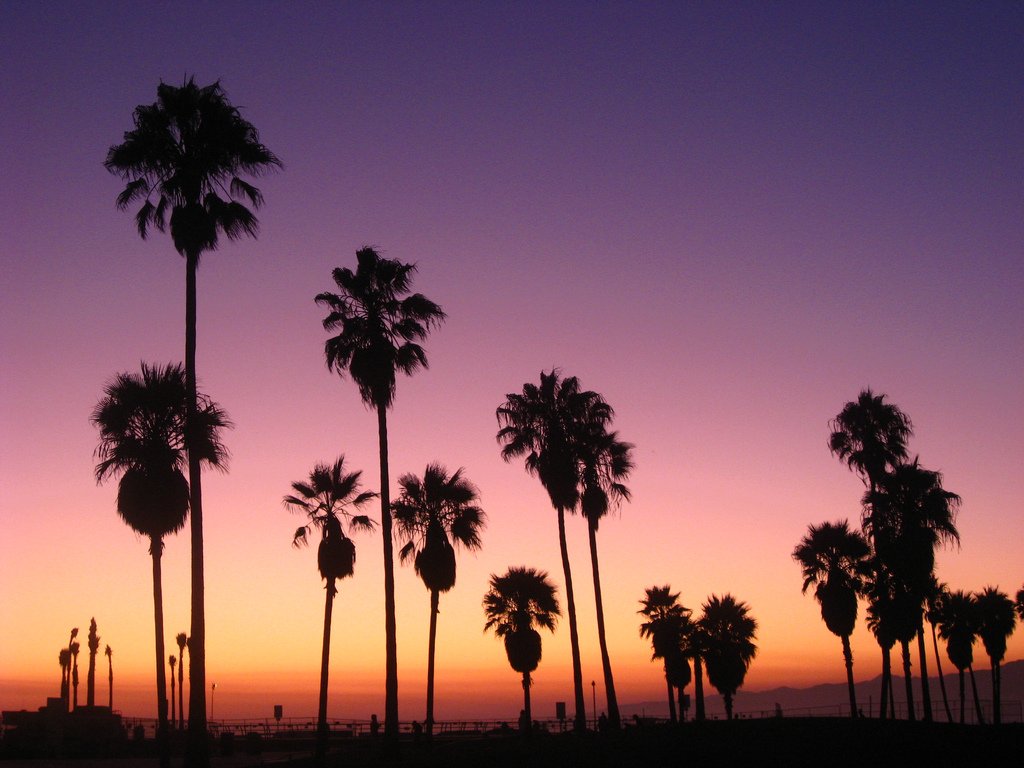 Venice Beach Sunset In On With A