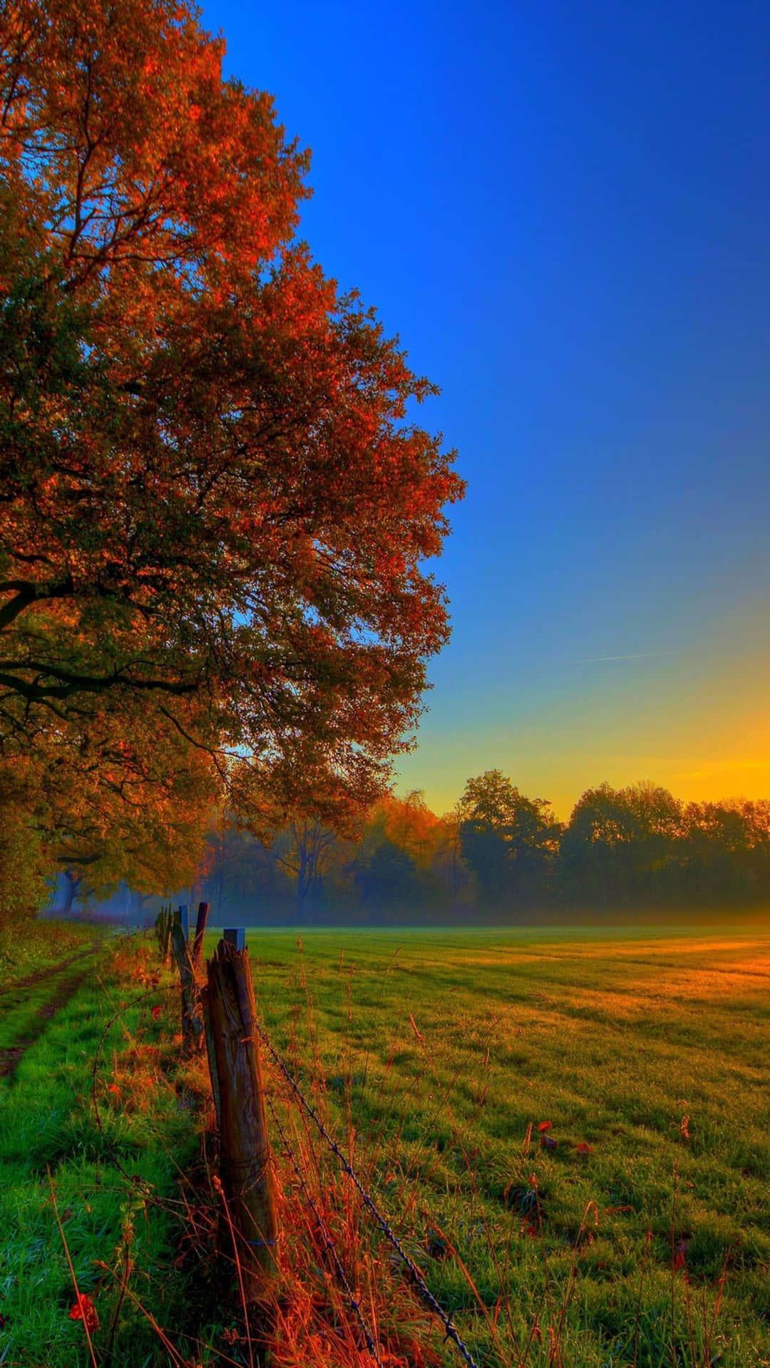 Download Autumn Nature 4K iPhone Wallpaper