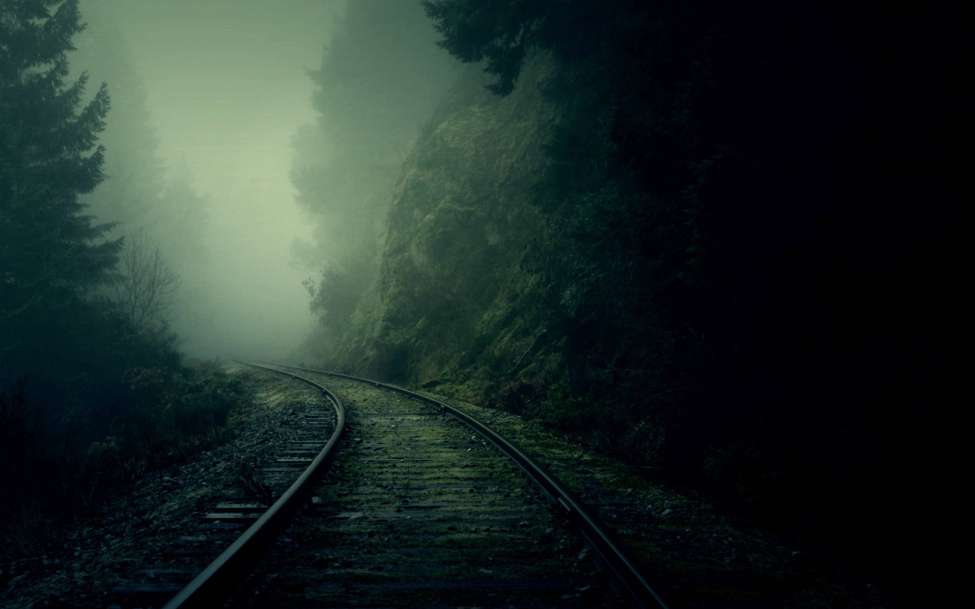 Dark Green Aesthetic Wallpaper