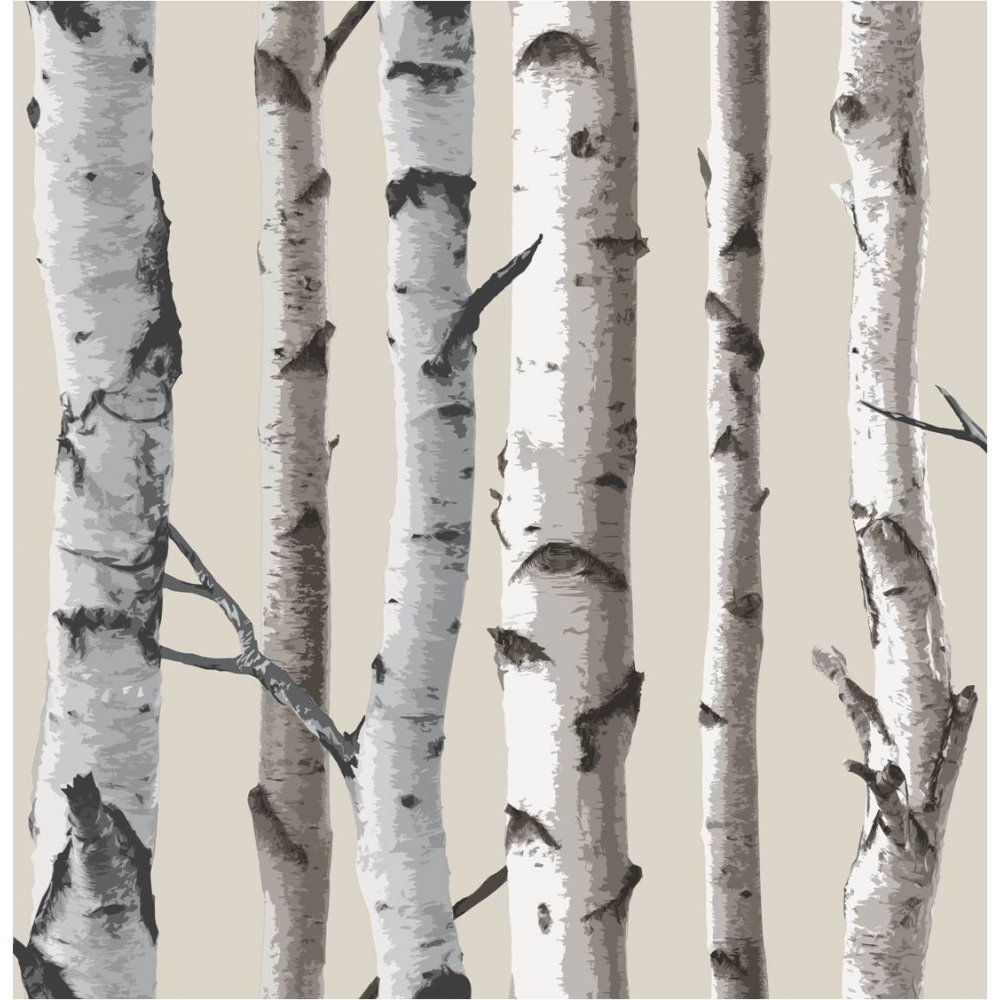 Fine Decor Birch Tree Wallpaper Natural Beige Cream eBay 1000x1000