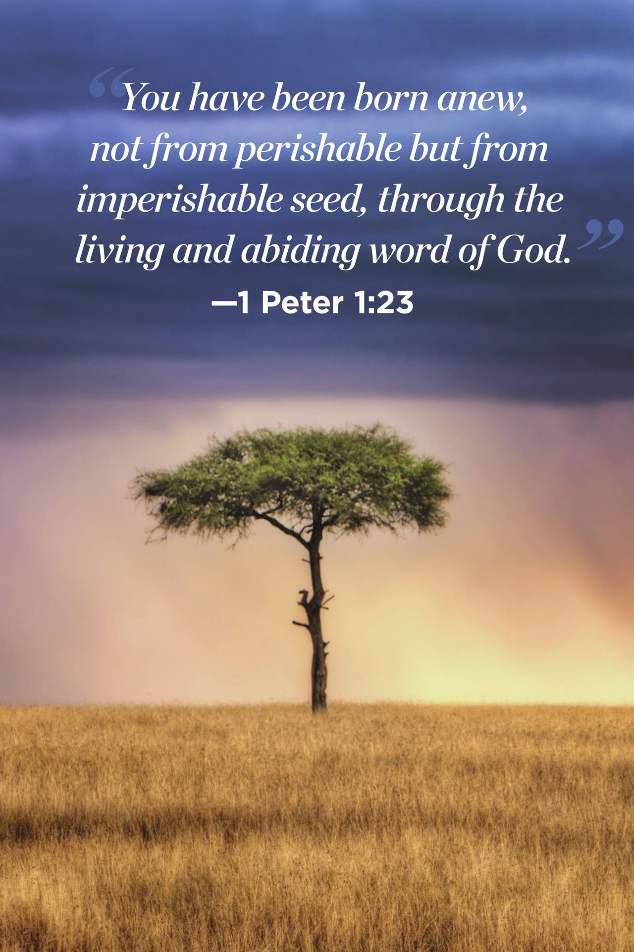 God Quotes Wallpaper
