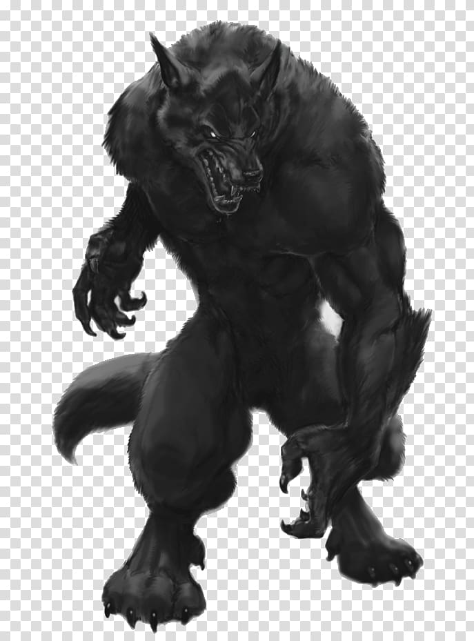 Werewolf The Apocalypse Gray Wolf Transparent