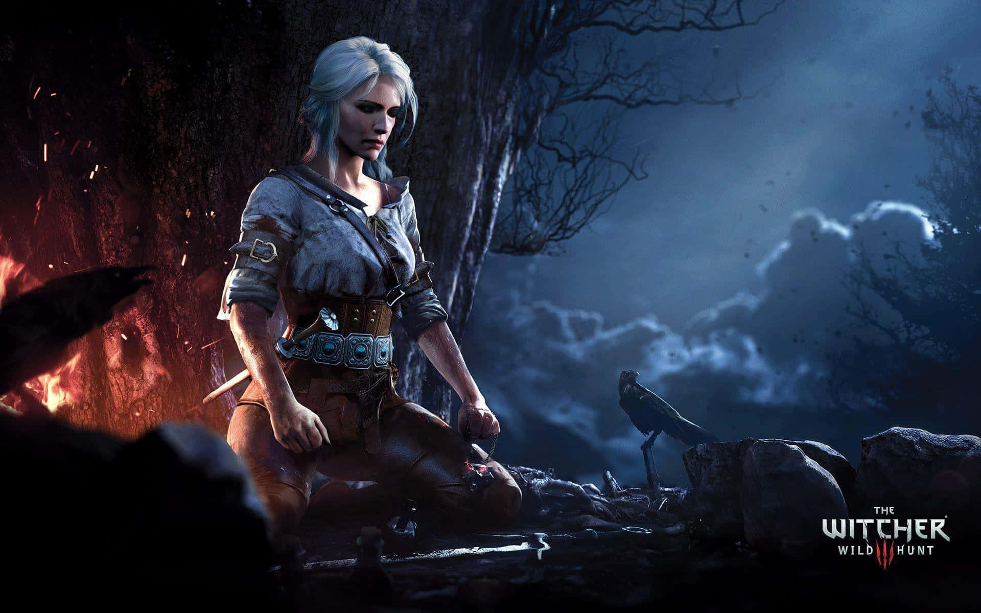 The Witcher Wallpaper