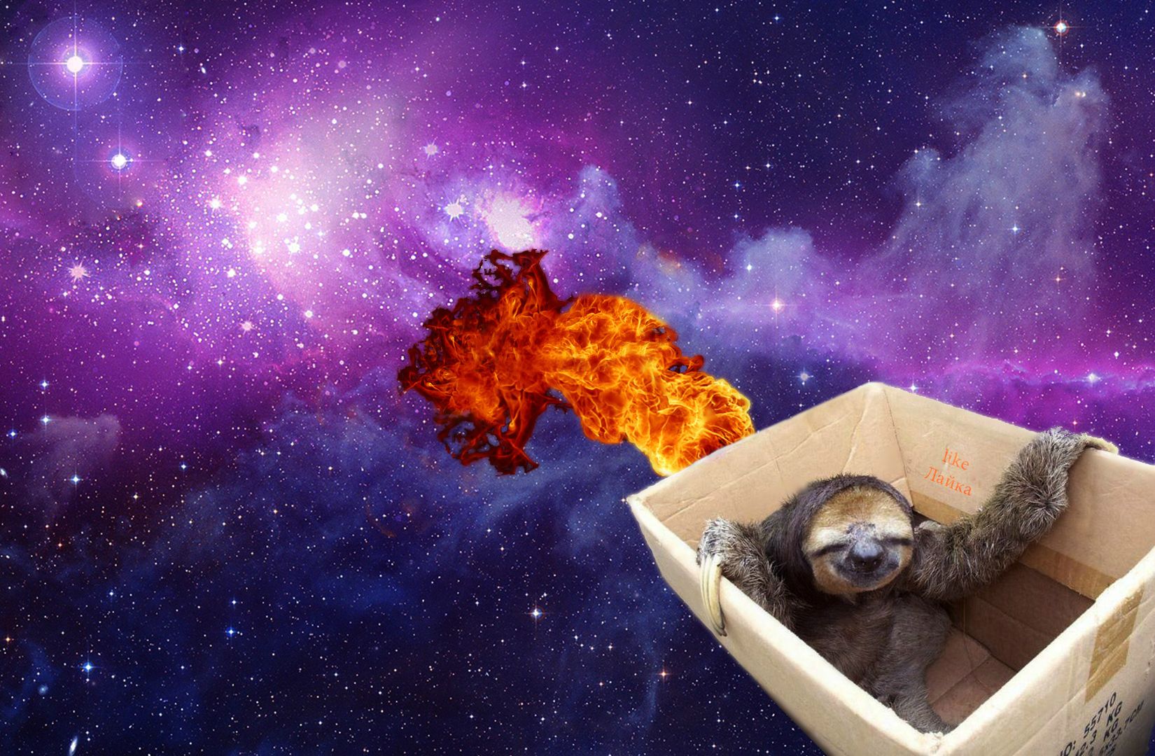Just A Sloth Flying Through The Universe Pikdit