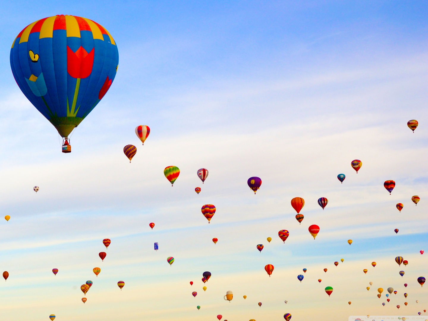 Download Hot Air Balloon Field Fullscreen Mobile Wallpaper 1440x1080
