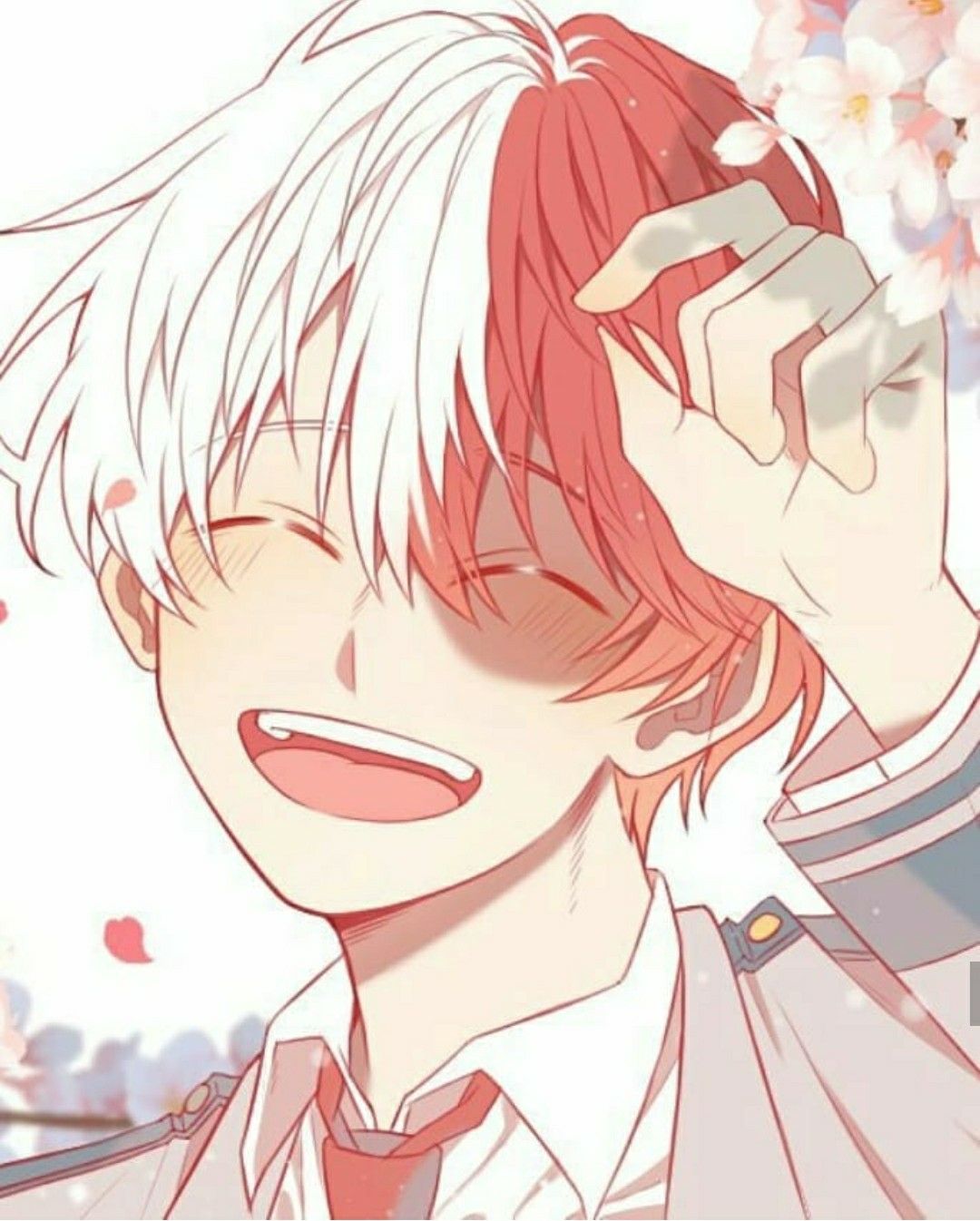 My Hero Academia Shoto Todoroki Cute Wallpaper