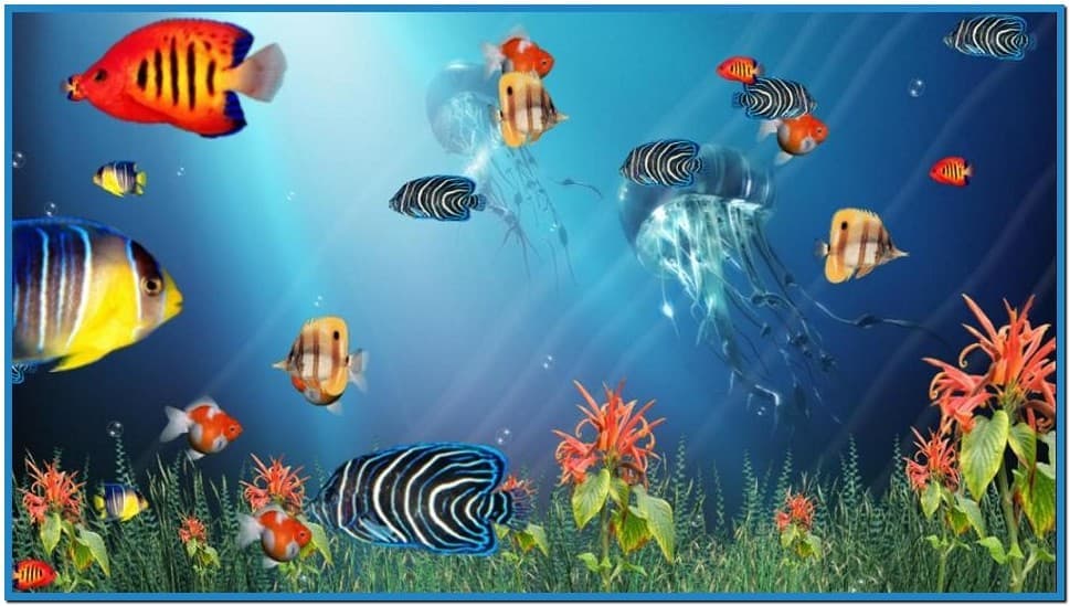 Animated fish aquarium screensaver   Download free