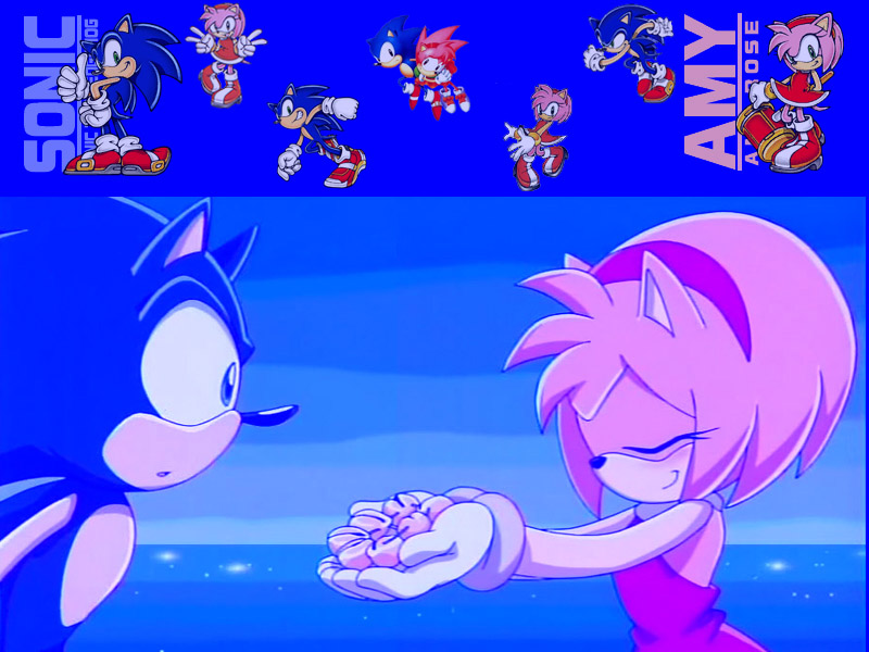 sonic and amy  Sonic the Hedgehog Wallpaper 44360574  Fanpop
