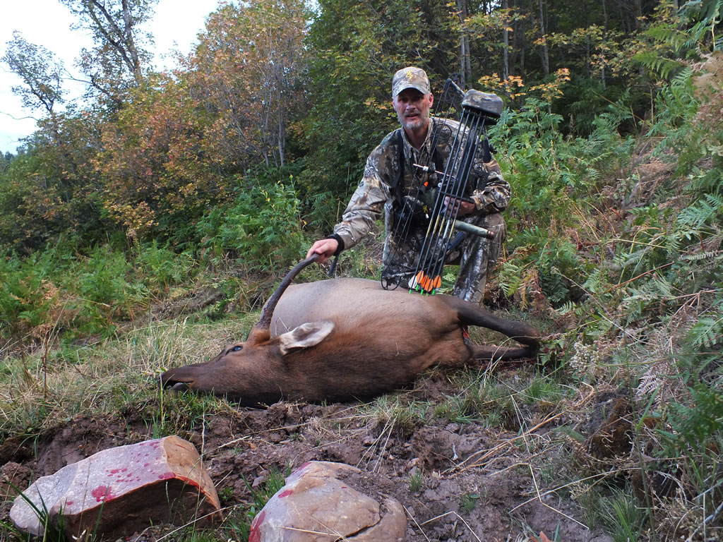 The Diy Hunter Archery Elk Hunting Taking A Spike At