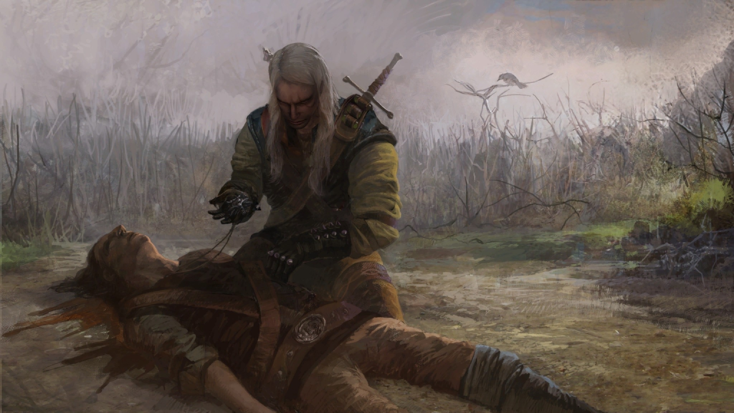 Download Wallpapers Download 2560x1440 video games rpg pc the witcher 2560x1440