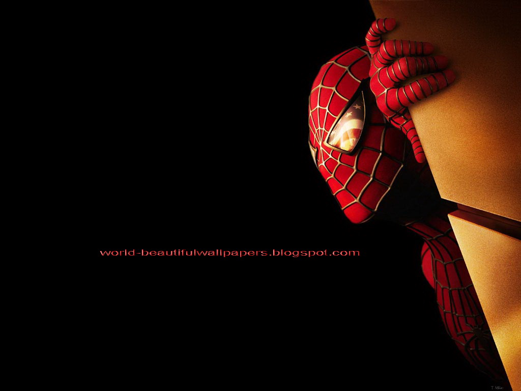 Beautiful Wallpaper The Amazing Spider Man