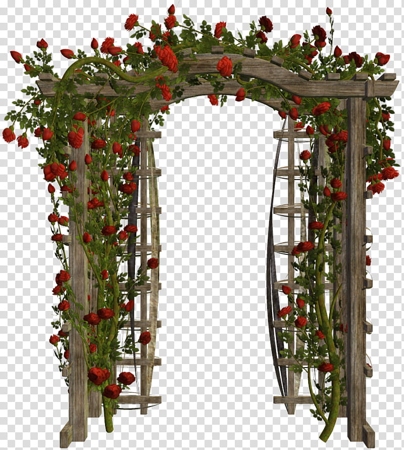 Various Garden Items Wooden Arbor Surrounded Transparent