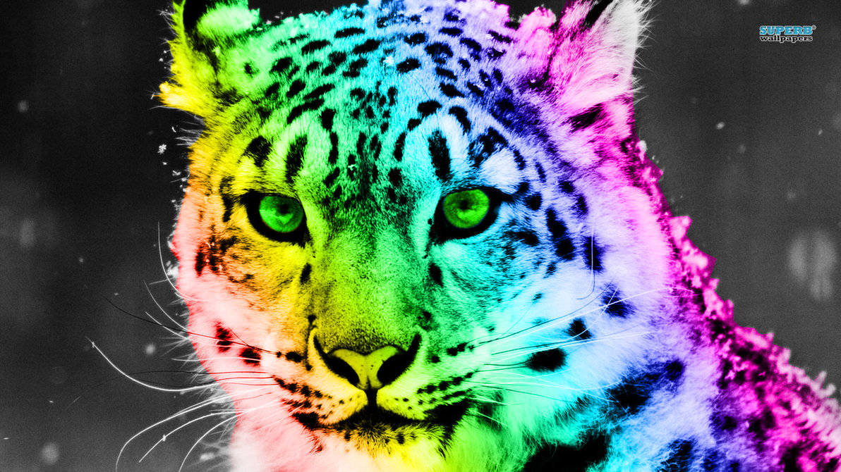 Colorful Leopard Wallpaper