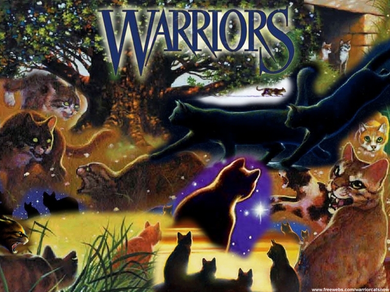 Warrior Cats Cat Collage Background Keywords Warriors Picture Fan