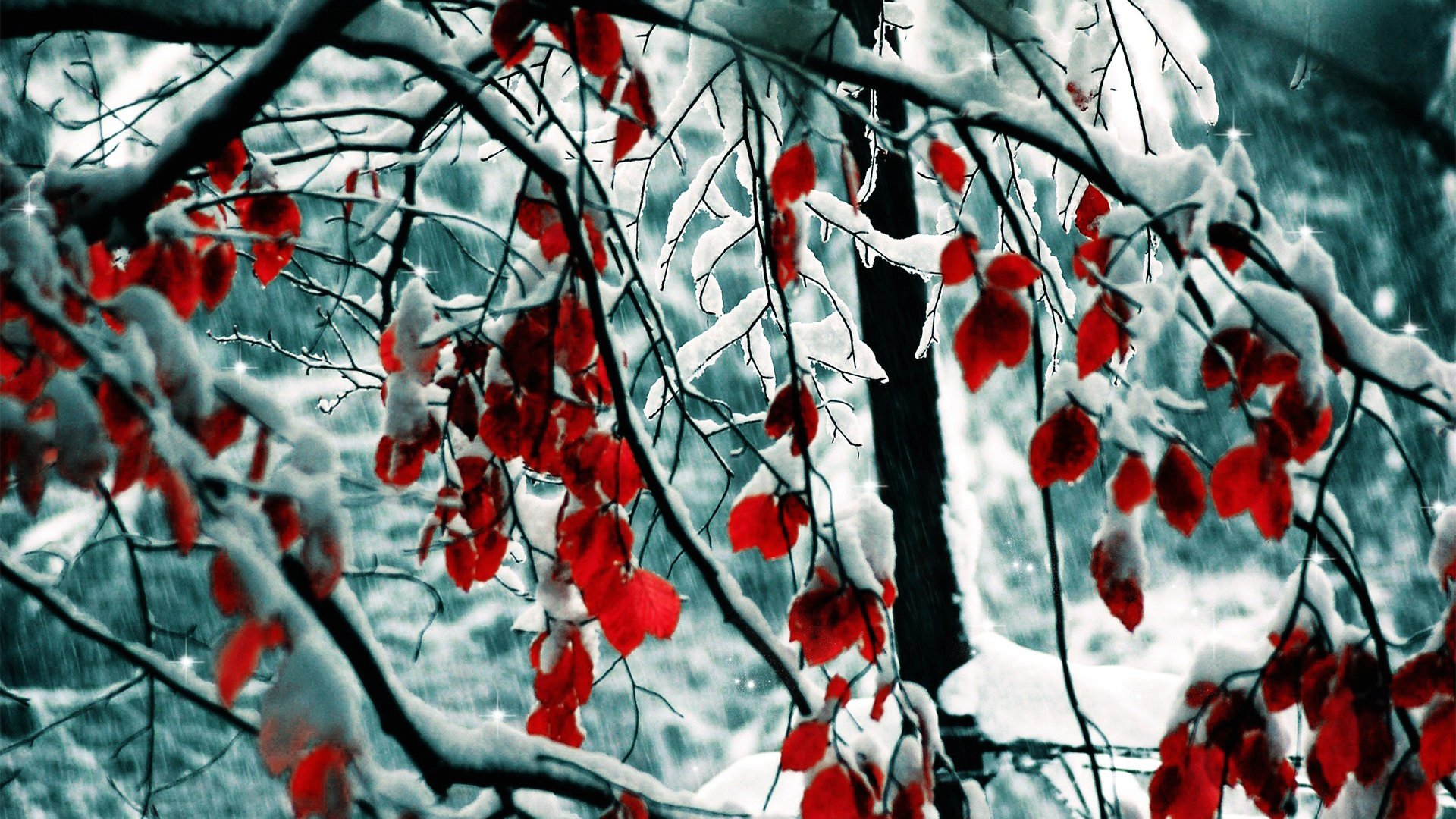 Wallpaper Winter And Red Leaves X Full HD