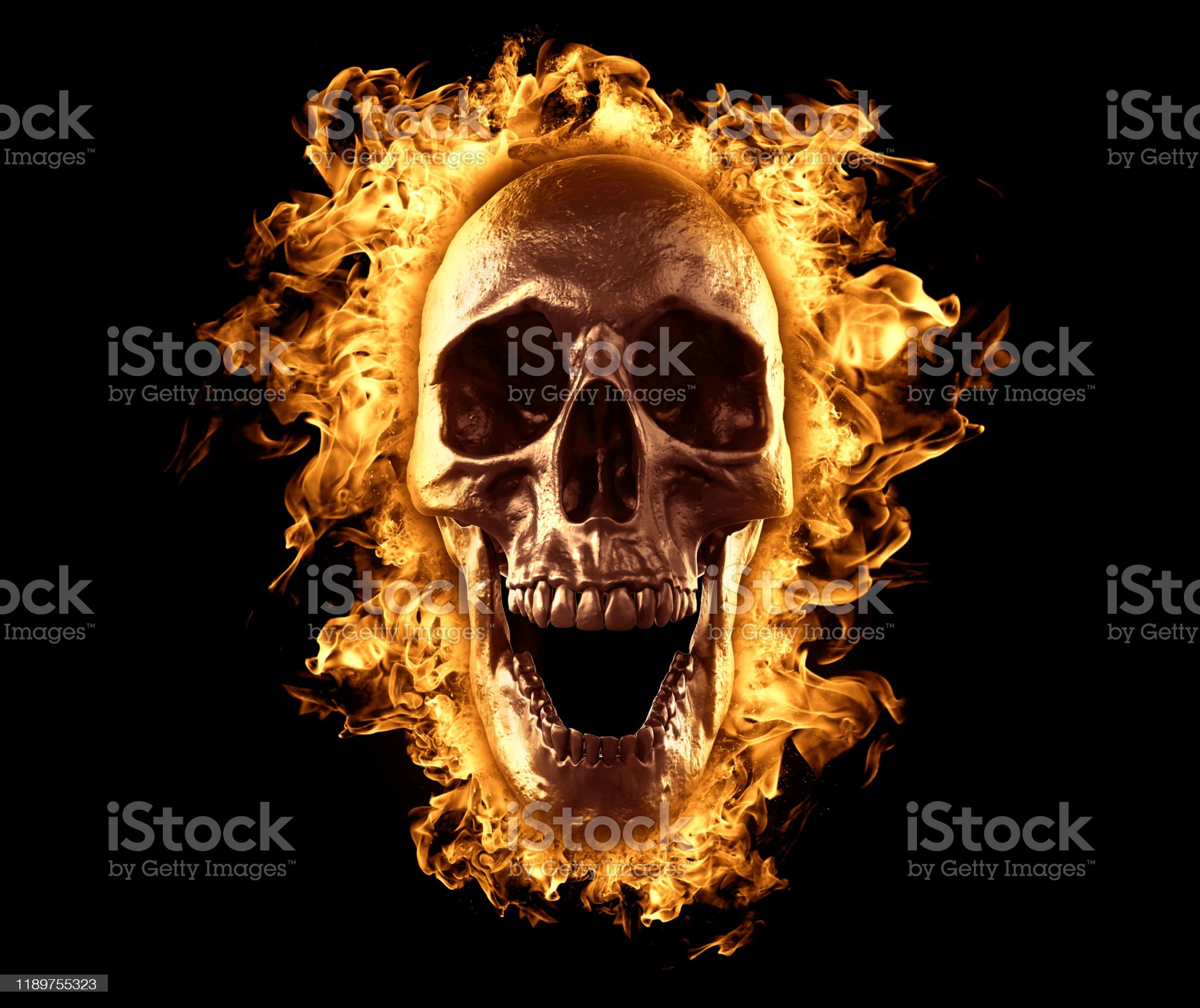 Skull In Fire Wallpaper Human Head Isolated Empty