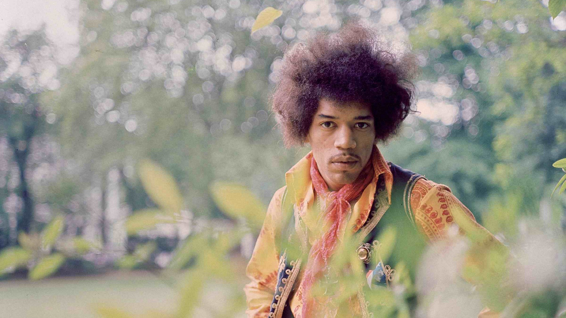 Are Ing Jimi Hendrix HD Wallpaper Color Palette Tags
