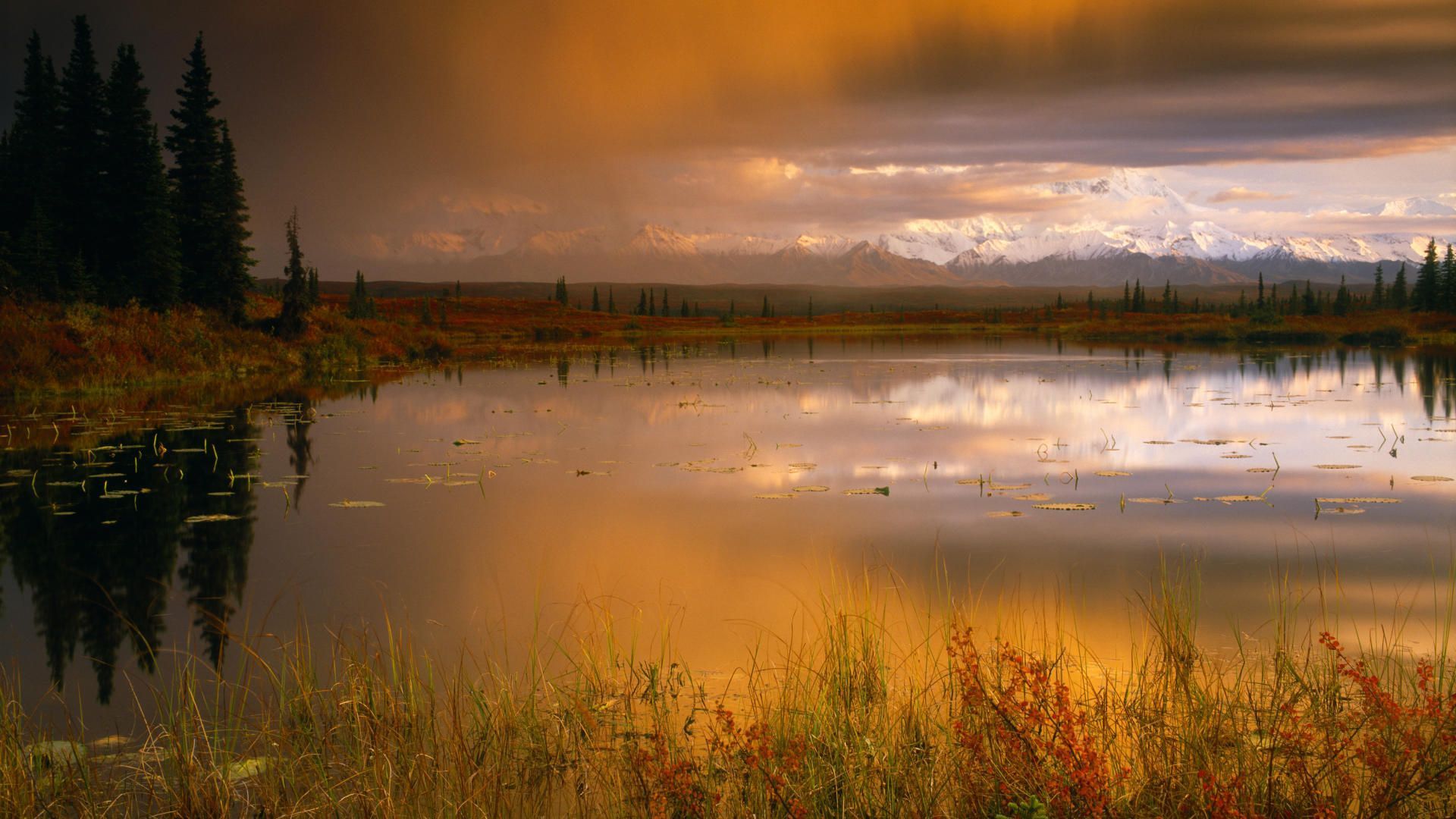 Pond Mount Mckinley Denali National Park Alaska In Full Screen