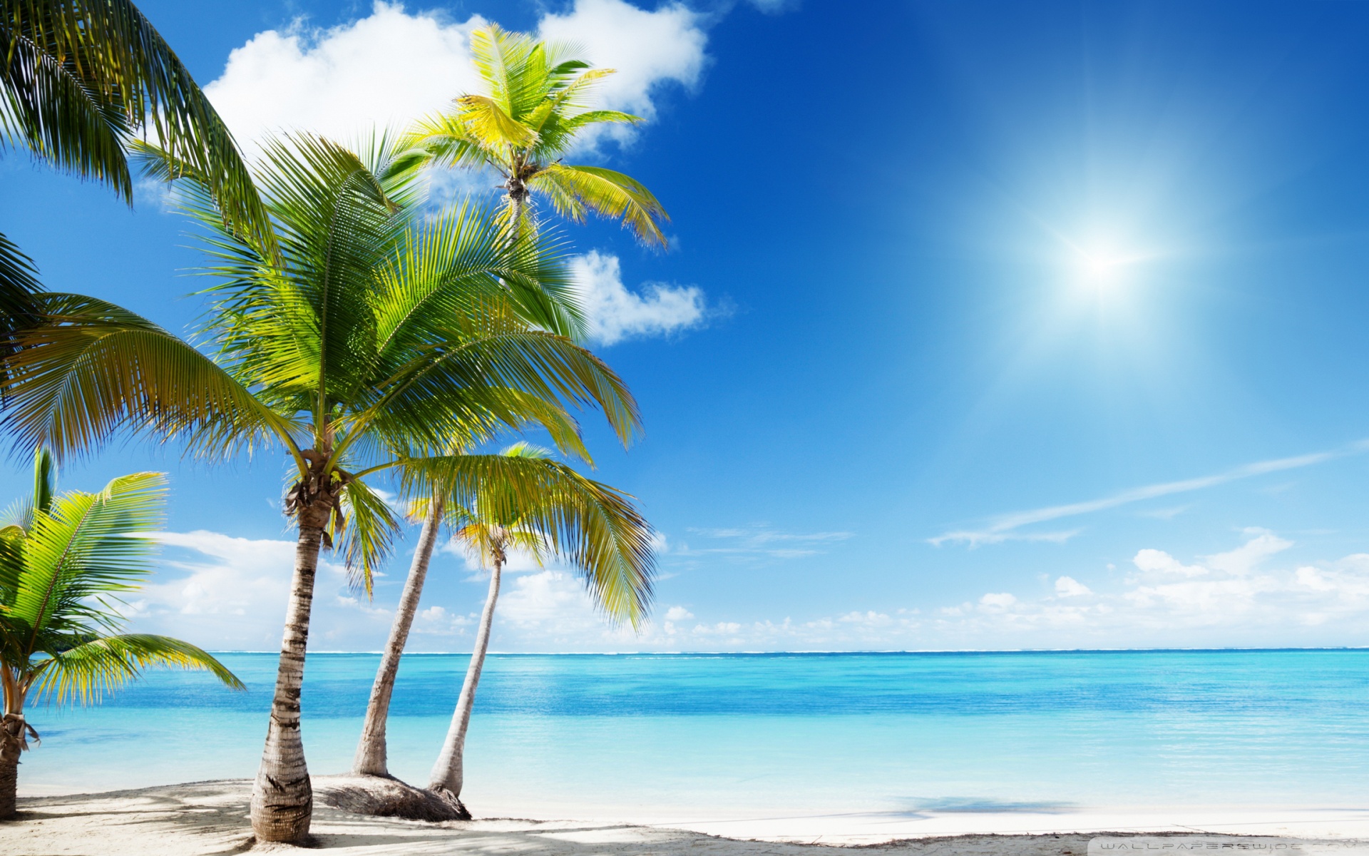 Tropical Beach Paradise 4k HD Desktop Wallpaper For Ultra
