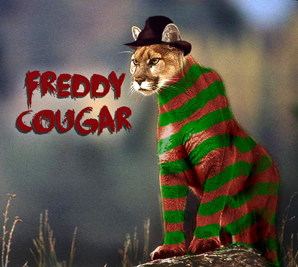 Freddy Cougar by Brandtk on