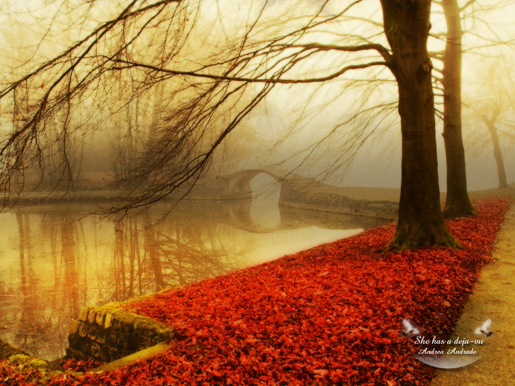 Carpeta Rota   Blog View   Stunning Autumn Scenery Wallpapers 1024x768