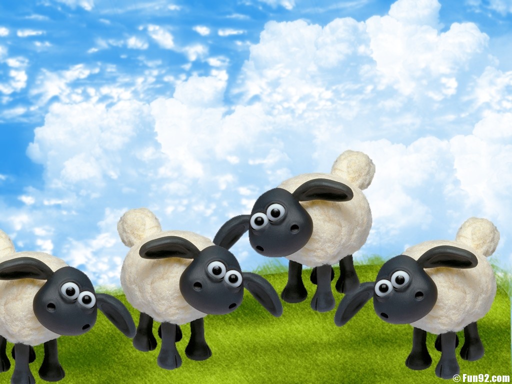 Sheep Wallpaper By Ohashi92 Funny Animal Pictures