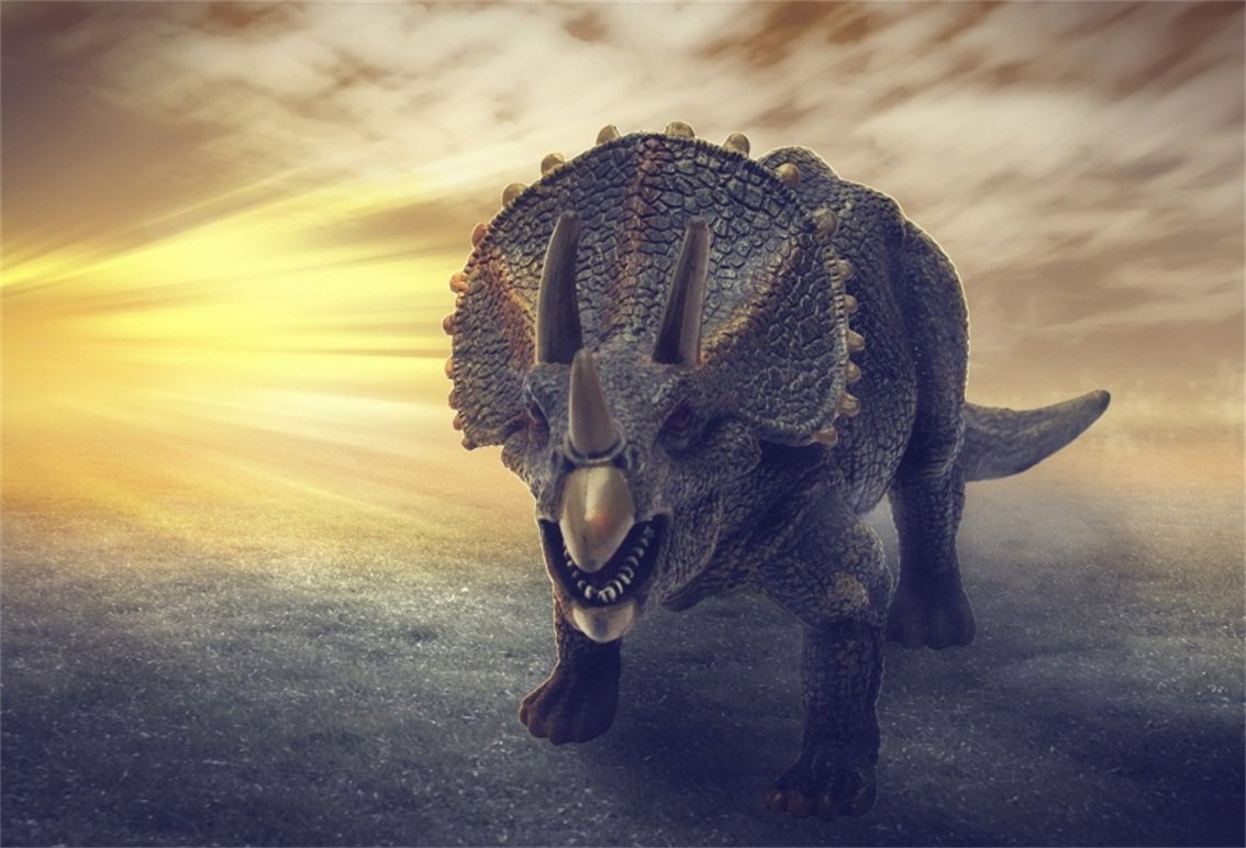 Amazon Csfoto Background For Triceratops Dinosaurs