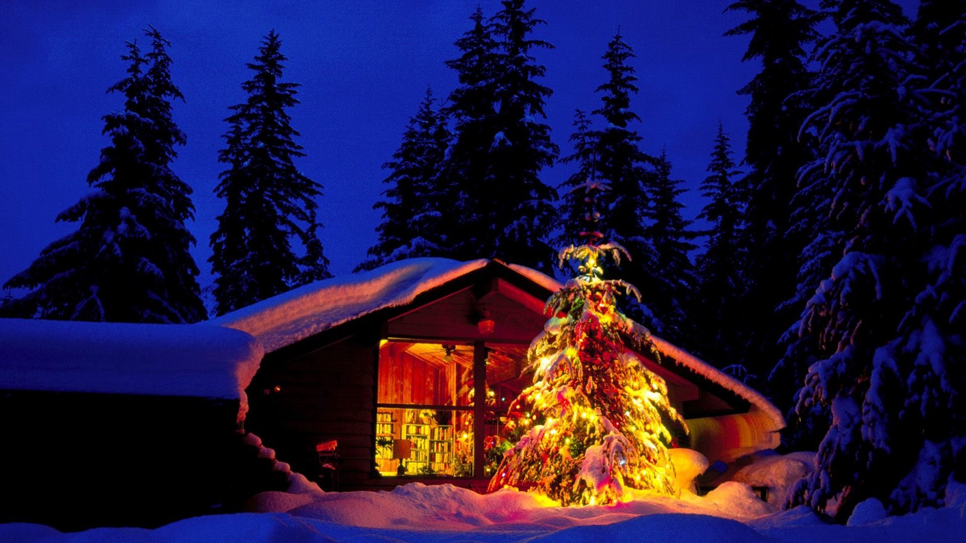 Giáng sinh đang đến, và tất cả những hình ảnh bầu trời đêm đầy tuyết rơi và ánh đèn sáng lấp lánh là những thứ khiến mùa lễ hội đắm chìm trong không khí hoàn toàn. Hãy cùng thưởng thức các hình nền \