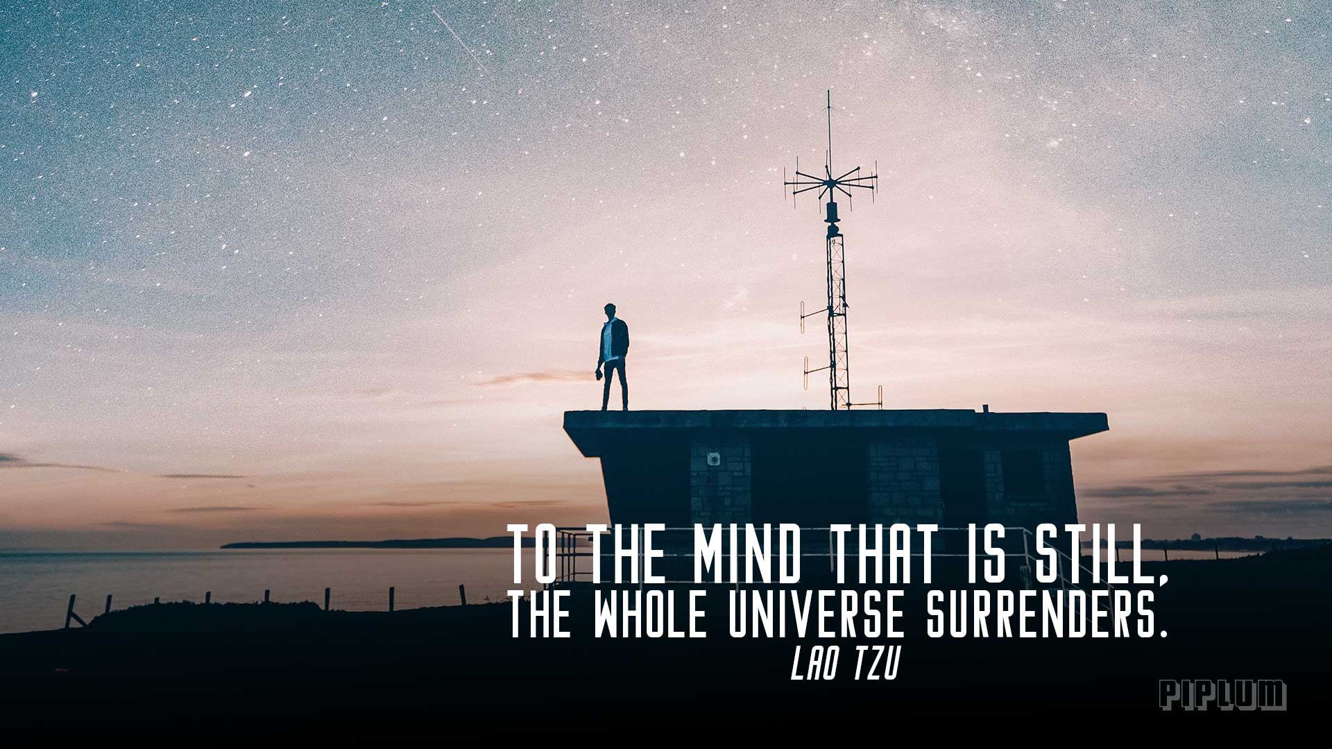 To The Mind That Is Still Whole Universe Surrenders Quote