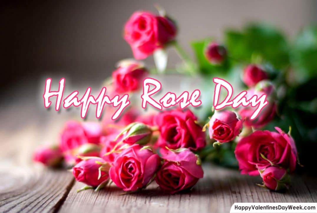 Happy Rose Day Image