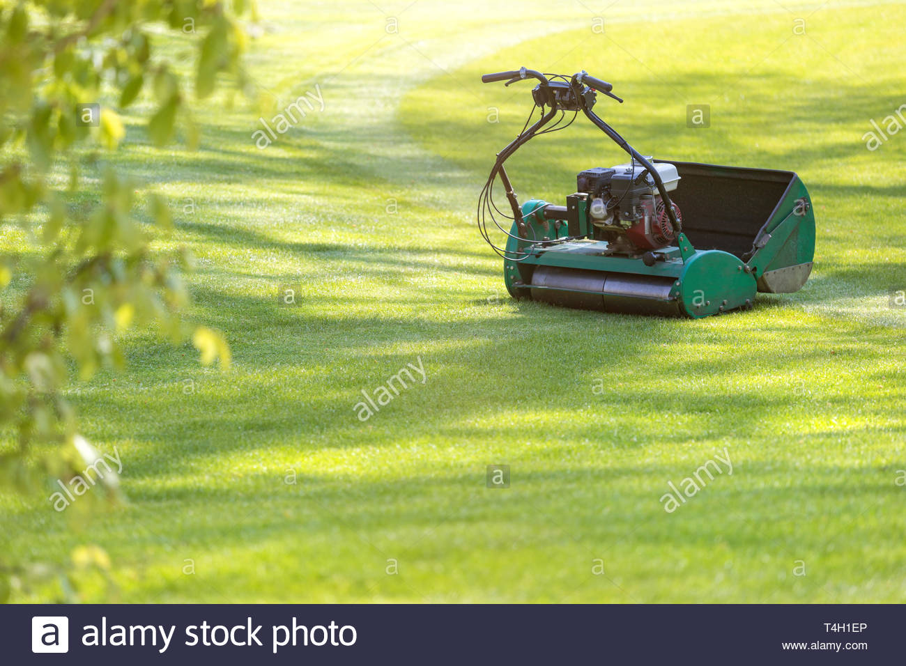 Lawn Mowing Background Stock Photo
