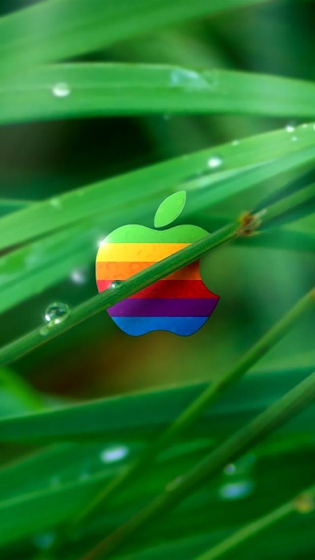 Color Apple In Grass iPhone Wallpaper HD Background