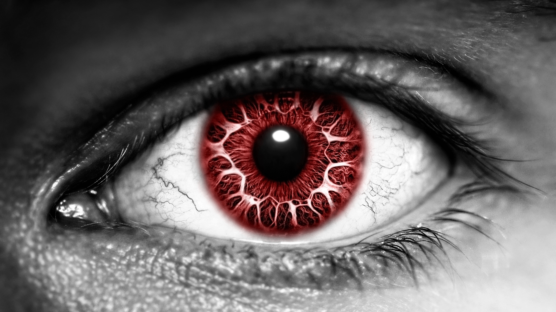 Blood Red Eye Wallpaper From Eyes