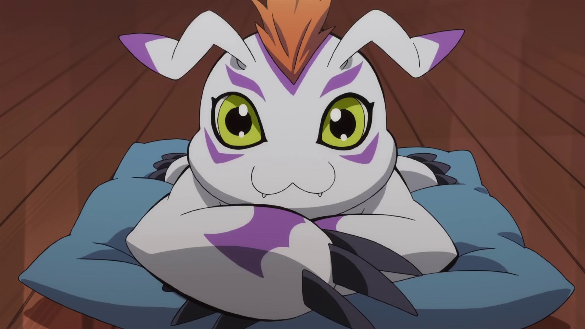 Gomamon Digimon Adventure Wallpaper Zerochan Anime