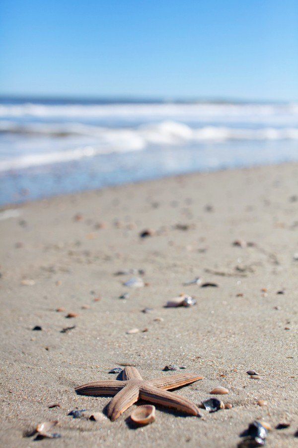 My Favorite Coastal Cottages With Image Tybee Island Georgia