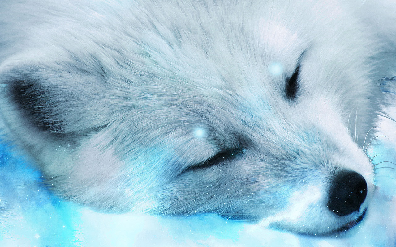 Premium Photo  Watercolor portrait of cute arctic fox land animal