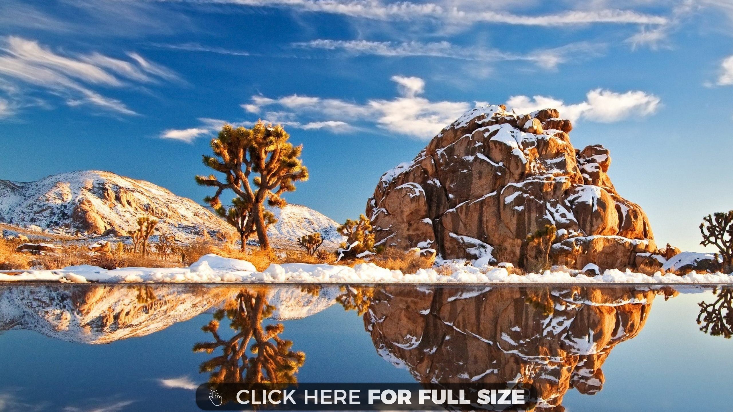 Joshua Tree Wallpaper Pictures To Pin