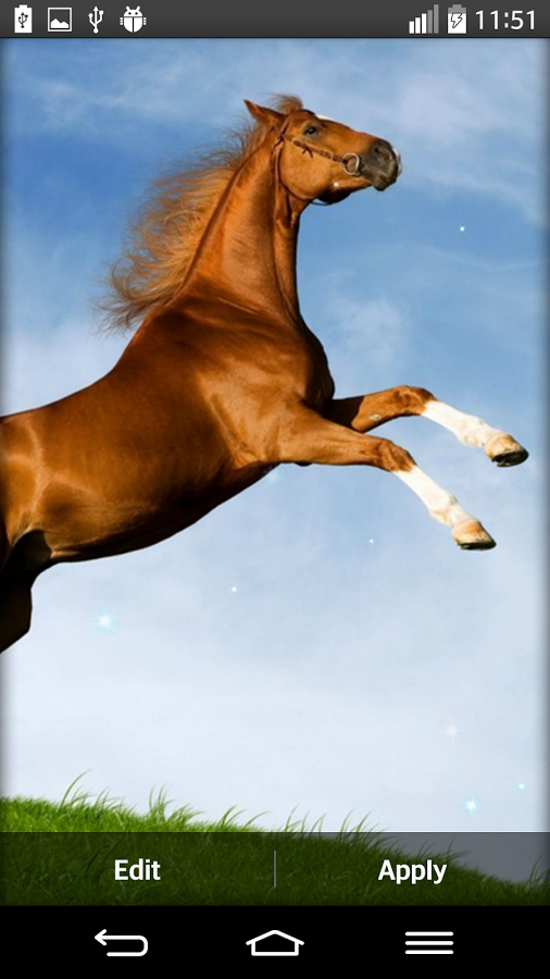 Horse Live Wallpaper Android Apps On Google Play