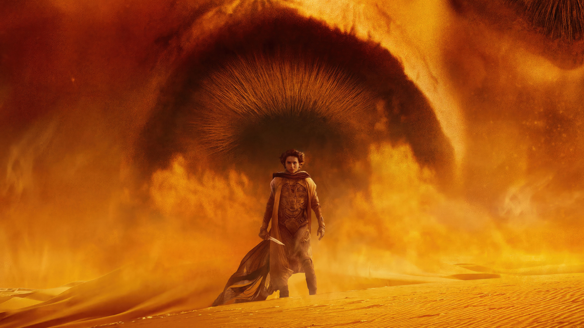 Dune Part Laptop Full HD 1080p 4k Wallpaper