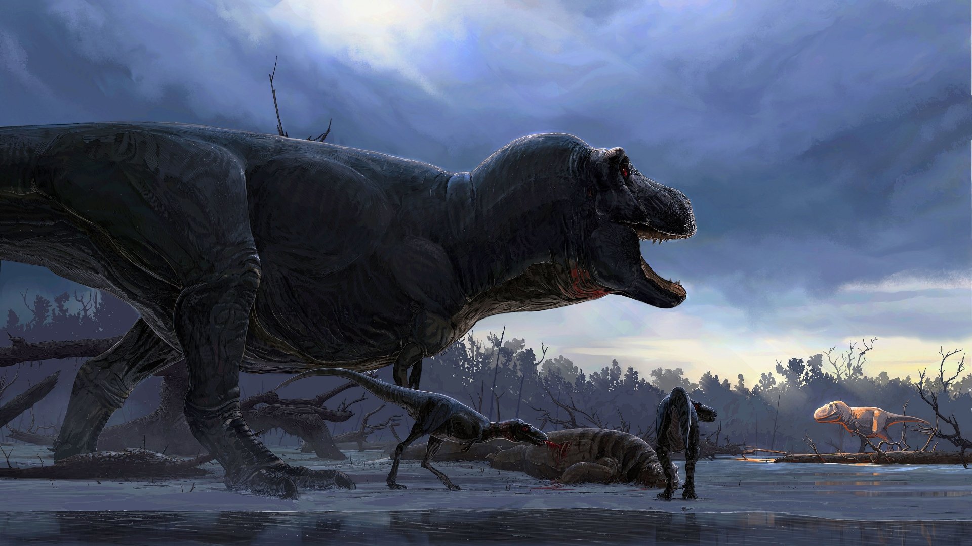 Animal Tyrannosaurus Rex 4k Ultra HD Wallpaper