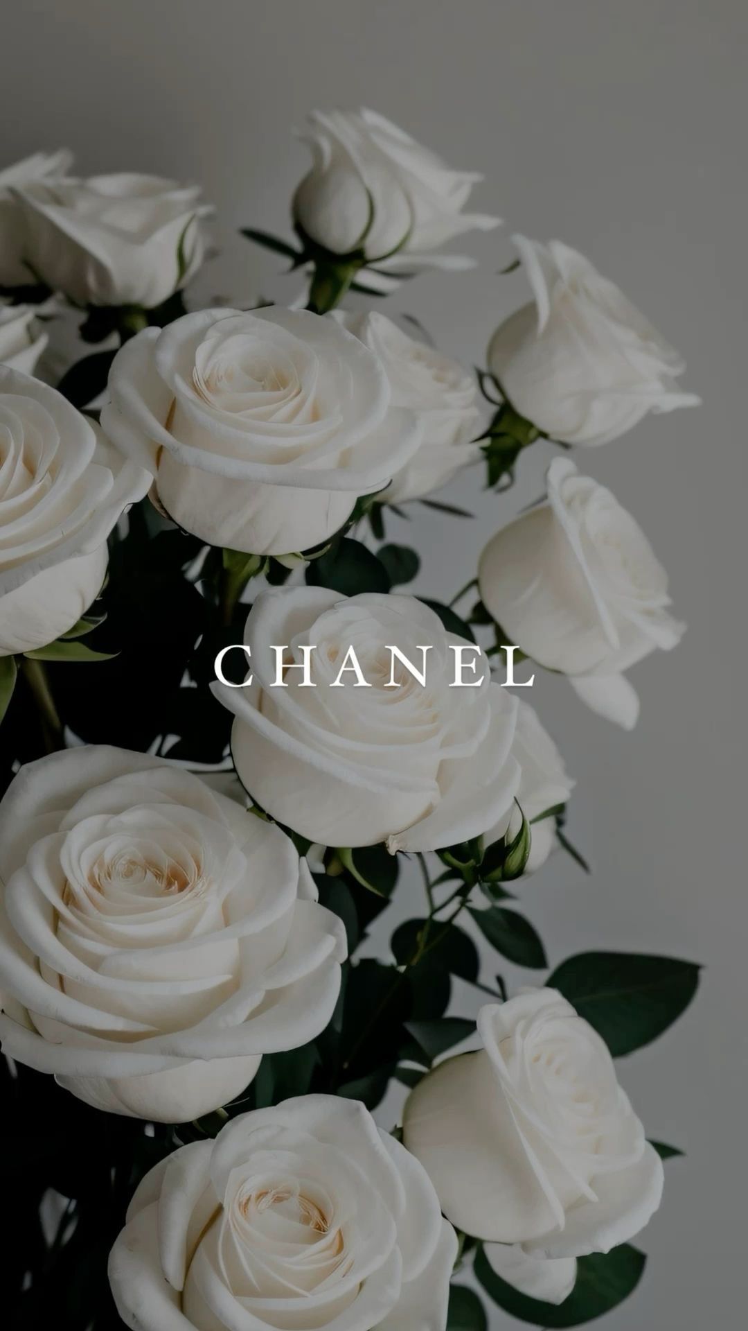 Chanel Luxury Rose Wallpaper